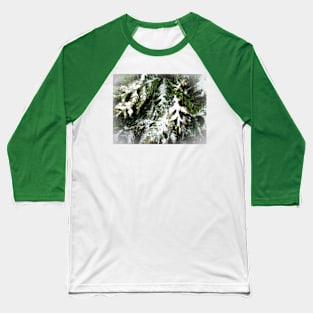 Snowy Pine Branches Baseball T-Shirt